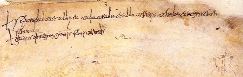 Perché tornare alle radici della&nbsp;lingua?